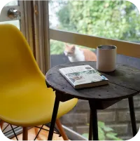 写真：本と飲み物が置かれている古いテーブルと黄色の椅子、窓越しに猫が写っています。