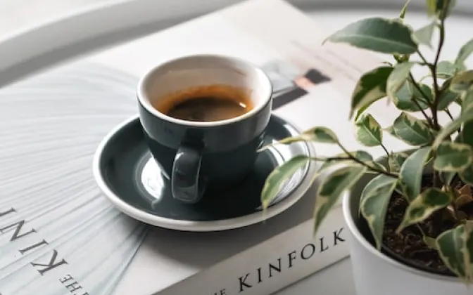 写真:本の上に乗せたコーヒーと観葉植物