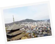 写真：天寧寺の海雲塔や家、海、山が写っています。