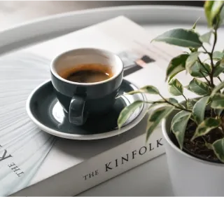写真:本の上に乗せたコーヒーと観葉植物